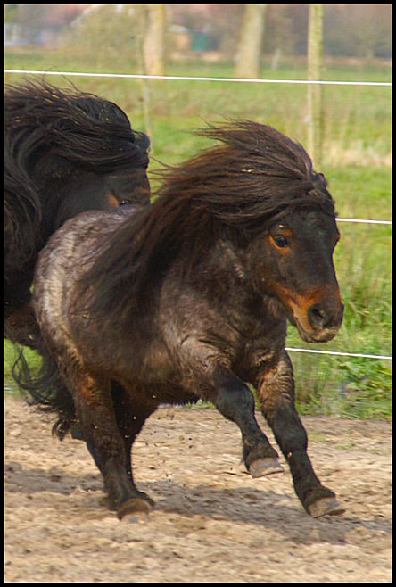 97503495 895439714265613 4821742827241209856 n - oz