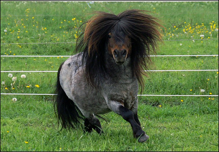 97650502 895454534264131 3630464722060443648 n - oz