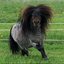 97650502 895454534264131 36... - oz