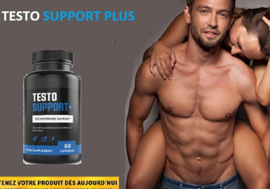 Testo Support Plus Picture Box
