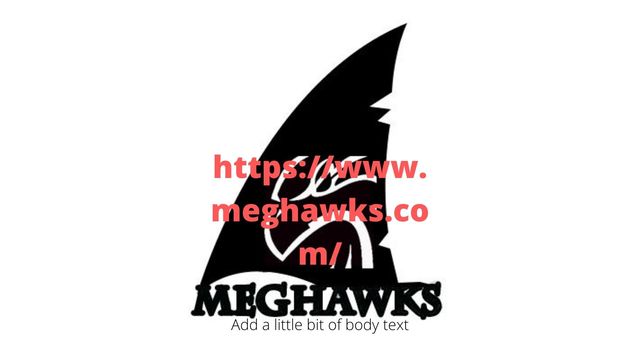 MEGHAWK IMAGE Picture Box