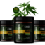 0 8zffcrq4faZNfGCe - Does Karaâ€™s Orchards CBD Gummies Help To Make The Body Healthy?