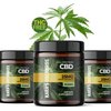 Does Kara's Orchards CBD Gummies UK Work In Your Body Pain Relief?
