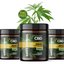 vijay-6 - Does Kara's Orchards CBD Gummies UK Work In Your Body Pain Relief?