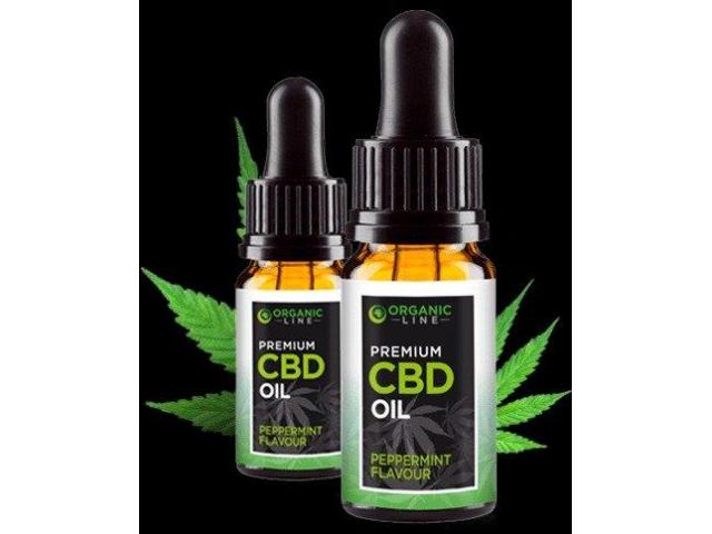 4286 How Does Organic Line CBD Oil UK Work And Is It Risk-Free?