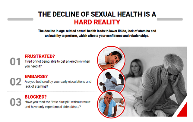 Testo Support Plus Picture Box