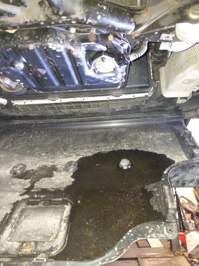 IMG 20210604 193737 - Smoczyca