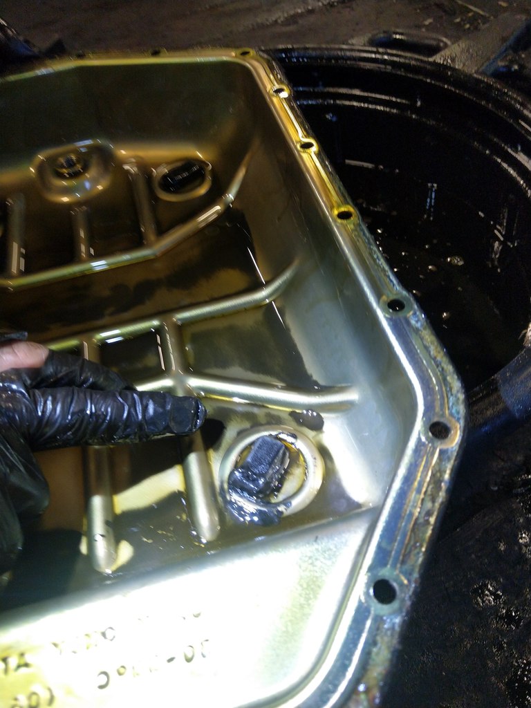 IMG 20210604 201224 - Smoczyca