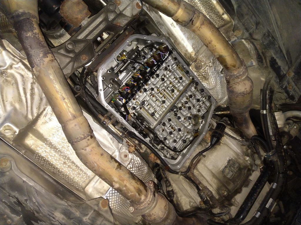 IMG 20210604 203857 - Smoczyca