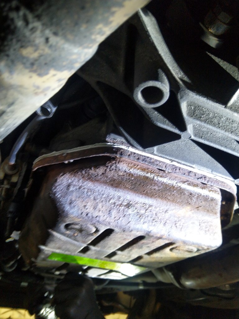 IMG 20210604 210458 - Smoczyca