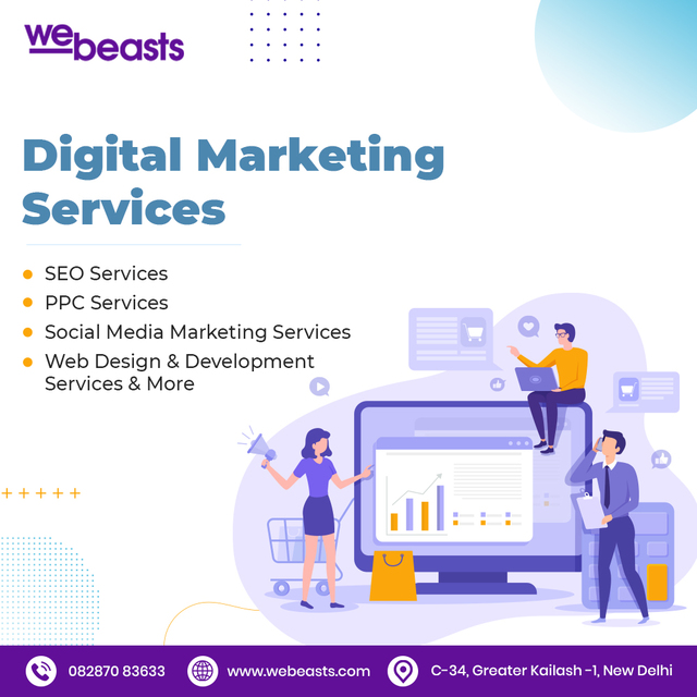 Digital Marketing Services Picture Box