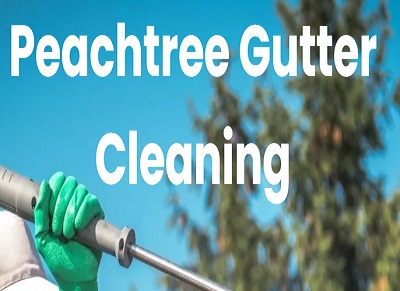 Peachtree City Gutter Cleaning Peachtree City Gutter Cleaning