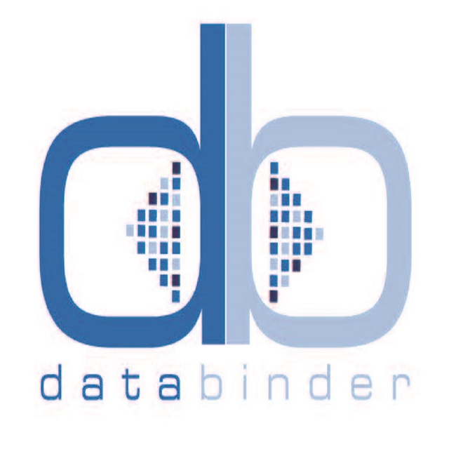 1 Data Binder