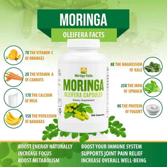 Boost Your Energy with Moringa Moringafields