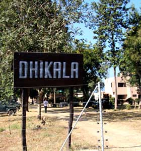 dhikala-tour Corbett Dhikala Tour