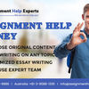 Assignment Help Sydney - Picture Box