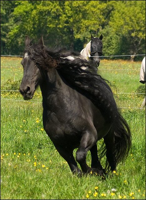 62 hayke en nathan 28 mei