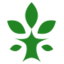 logo - Tree Service of Troy