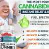 Recover FX CBD Gummies â€“ Does It Really Work Or Not?