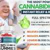 Recover FX CBD Gummies – Does It Really Work Or Not?