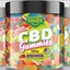 Smilz CBD Gummies - Picture Box