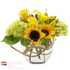 Send Flowers Dardanelle AR - Flower Delivery in Dardanel...