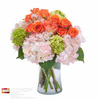 Best Local Flower Shop near me - Flower Delivery in Dardanel...