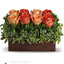 Get Flowers Delivered El Ca... - Flower Delivery in El Cajon, CA
