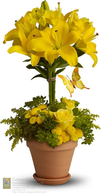 Buy Flowers Cottage Grove MN Flower Delivery in Cottage Grove, MN