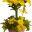 Buy Flowers Cottage Grove MN - Flower Delivery in Cottage Grove, MN