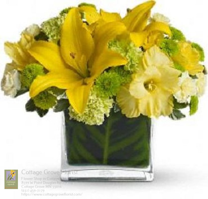 Cottage Grove MN Same Day Flower Delivery Flower Delivery in Cottage Grove, MN