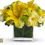 Cottage Grove MN Same Day F... - Flower Delivery in Cottage Grove, MN