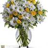 Flower Delivery in Cottage ... - Flower Delivery in Cottage ...