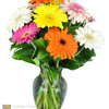 Fresh Flower Delivery Cotta... - Flower Delivery in Cottage ...