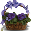 Send Flowers Cottage Grove MN - Flower Delivery in Cottage ...