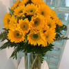 Order Flowers Westland MI - Flower Delivery in Miami Be...