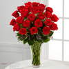 Send Flowers Westland MI - Flower Delivery in Miami Be...