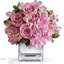 Westland MI Flower Shop - Flower Delivery in Miami Beach, FL