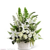 Flower Delivery in Westland MI - Flower Delivery in Miami Be...