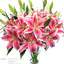 Flower Shop in Westland MI - Flower Delivery in Miami Beach, FL