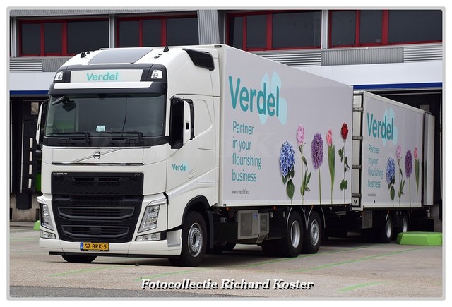 Verdel 57-BRK-5 (0)-BorderMaker Richard