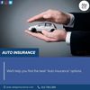 Auto Insurance Lake County