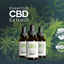 1607504524 ff21dcd2c268d8ff... - Essential CBD Extract en Paraguay Opiniones, Precio, Estafa & Funciona