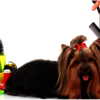 Pet-Grooming - Kristy's Mutt Cutts