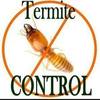 Termite Control Arun Vihar ... - Raghunathpur Noida sector 22
