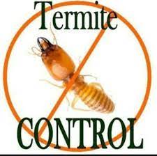 Termite Control Arun Vihar Sector 37 Noida Raghunathpur Noida sector 22