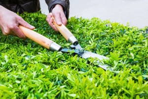 landscape-maintenance-3 S&S Lawn Care & Services, LLC