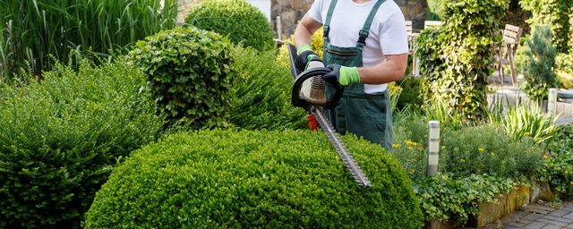 Maintenance full S&S Lawn Care & Services, LLC