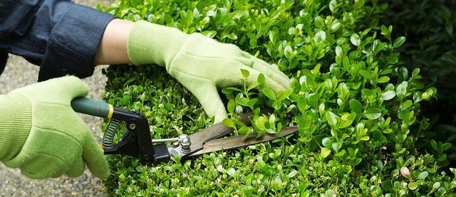 tips-for-easy-spring-home-and-garden-maintenance-1 S&S Lawn Care & Services, LLC