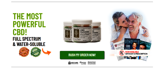 201508254 106737714982003 2242193068215351956 n LivingTree CBD Gummies â€“ How Much It Safe To Apply?